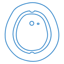 Dexcom G7™ Accessories